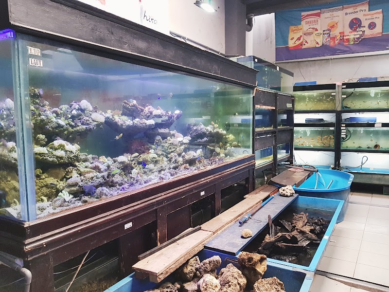 toko-aquarium-di-bandung-laksana-aquarium