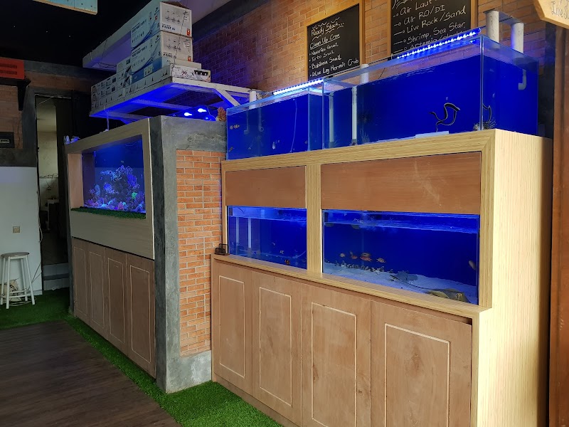 toko-aquarium-di-bandung-taman-laut-aquarium